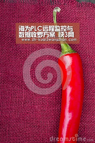 海为PLC远程监控与数据收罗方案_快3网站(图1) 快3网站