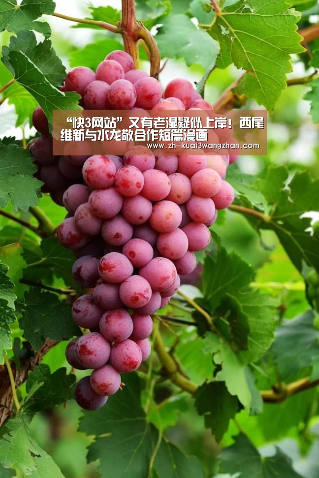 “快3网站”又有老湿疑似上岸!西尾维新与水龙敬合作短篇漫画(图2) 快3网站